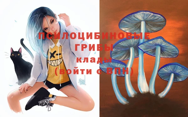 таблы Лиски