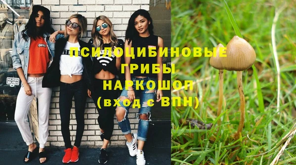 таблы Лиски