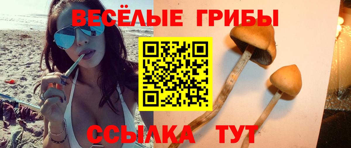 Учалы  Псилоцибиновые грибы прущие грибы  Вход с VPN 